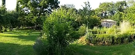 Domaine Du Grand Ormeau Bed & Breakfast